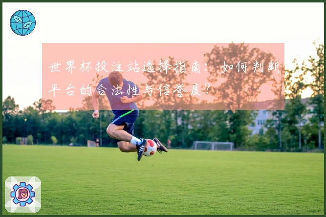 世界杯投注站选择指南：如何判断平台的合法性与信誉度？